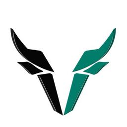 Veye - Between Bulls & Bears Logo