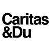 Caritas Austria Logo