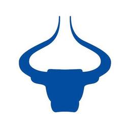 BFC Forex & Financial Services Pvt Ltd. Logo