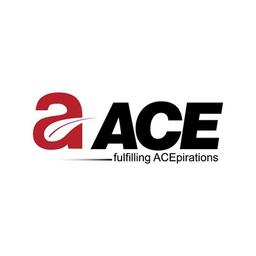 Ace Group India Logo