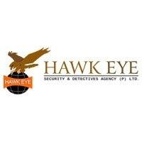 Hawkeye Detective Logo