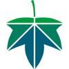 Maples Design Logo