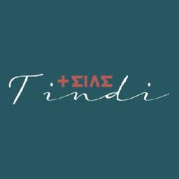 TINDI Agency Logo