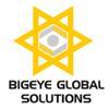 BigEye Global Solutions Pvt Ltd Logo