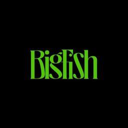BigFish Logo