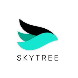 SkytreeDGTL Logo