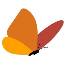 Elevation Learning Logo