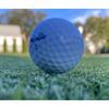 Sports Turf Solutions Logo