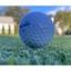 Sports Turf Solutions Logo