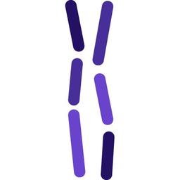 Chromatin Bioscience Logo