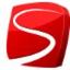 Surepath Consulting Logo