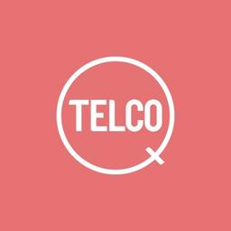 TelcoQ Ltd. Logo