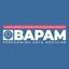 BAPAM Performing Arts Medicine Logo