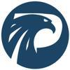 Falcon Flues Logo