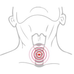 National Tracheostomy Safety Project Logo