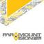 Paramount Vision Logo