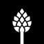 SkinnyBrands Logo