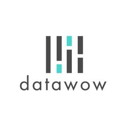 Data Wow Logo