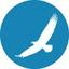 iiTranslation Logo