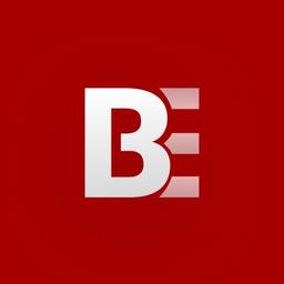 BRANDERS PRO WEB DESIGN AGENCY Logo