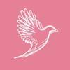 Maclaren Jones Design & Marketing Logo