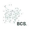 Business Critical Solutions (BCS) Logo