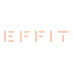 EFFIT Ltd Logo