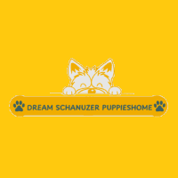 Dream Schnauzer Puppies Home Logo