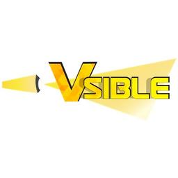Vsible.online Logo