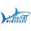 DigitalWebShark | Mamoor Khan - Director Sales & Marketing SEO | PPC | SMO | PMO Logo