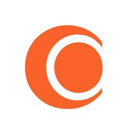 Contaid Soft Solutions Logo