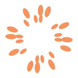 Cantaloupe Digital Logo