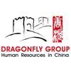 Dragonfly Group HR Consulting Logo