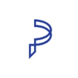 Palindrome LLP Logo