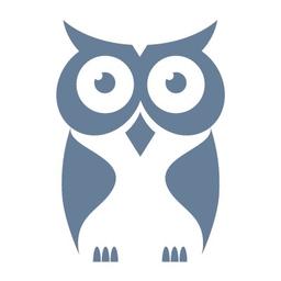 CyberOwl Logo
