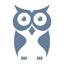 CyberOwl Logo