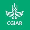 CGIAR Climate Impact Platform Logo