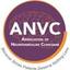 Association of Neurovascular Clinicians Logo