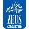 ZEUS CONSULTING Logo
