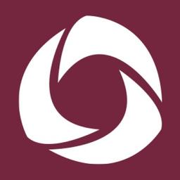 Professional Solutions Logo