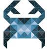 Carcinus Ltd Logo