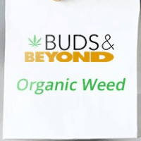 Buds and Beyond Logo