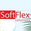 SoftFlex Solutions Co., Ltd Logo