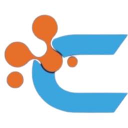 CSL Technologies Ltd Logo