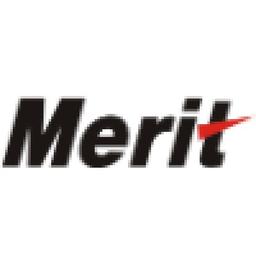 Merit Systems Private Limited Logo