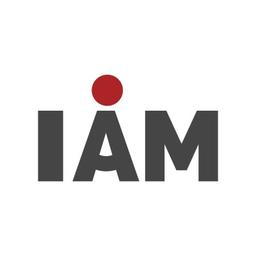 I AM Consulting Group Logo