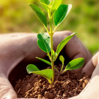 lebtam global resources limited Logo