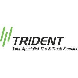 Trident International P Ltd Logo