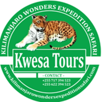 Kwesa Tours Logo