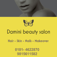 Damini Beauty Salon Logo